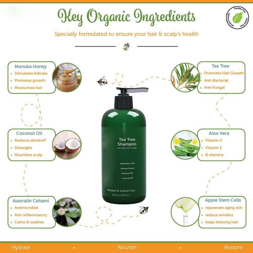 OEM Tea Tree Oil Shampoo Conditioner Set With Manuka Honey & Stem Cells For Anti Dandruff Treatment