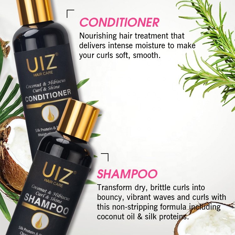 Curly hair shampoo and conditioner set Scalp Care Sulfate Free Hair Care Set For Black Women