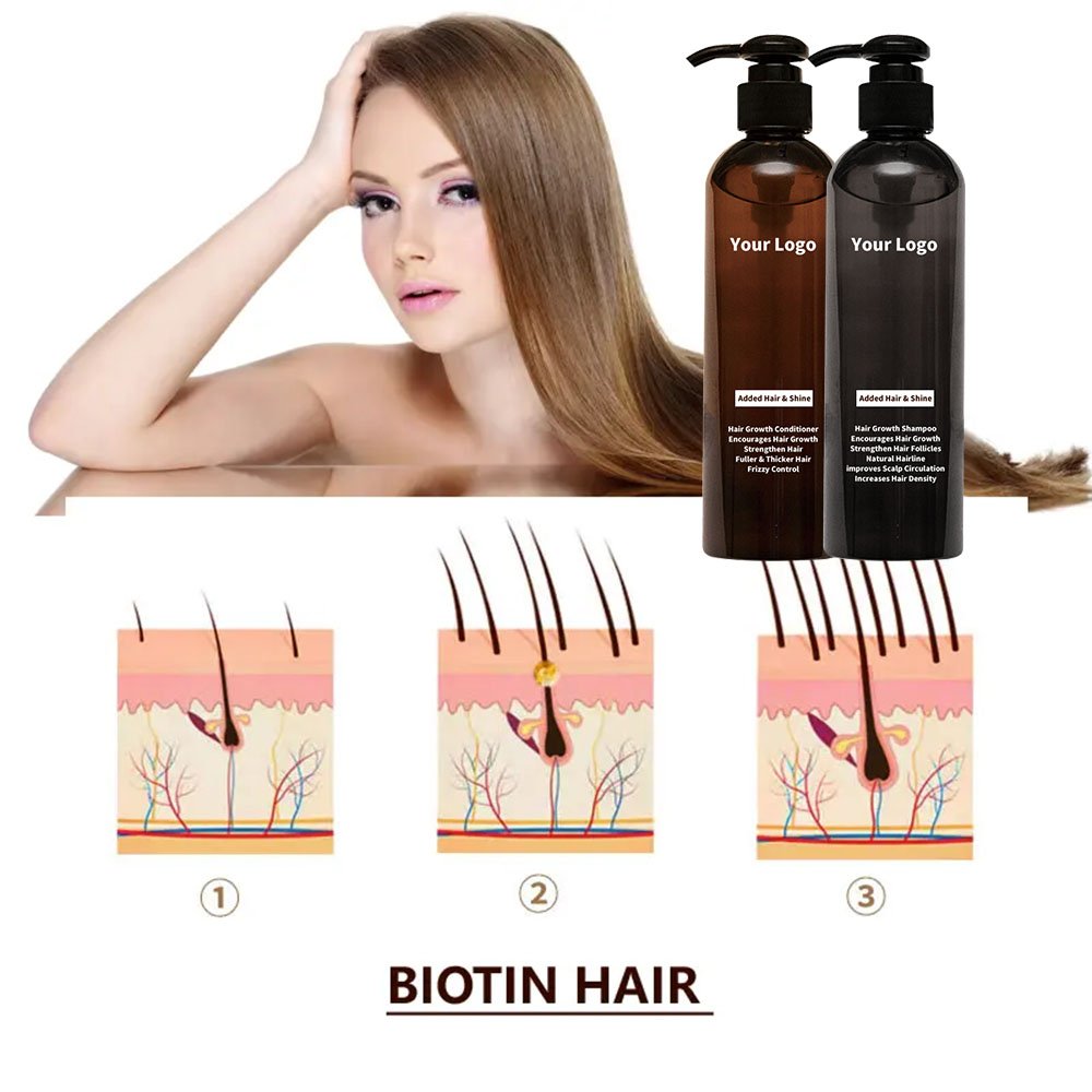 Private Label Best Strengthens Organic Biotin Anti Loss Fall Hair Growth Shampoo And Conditioner