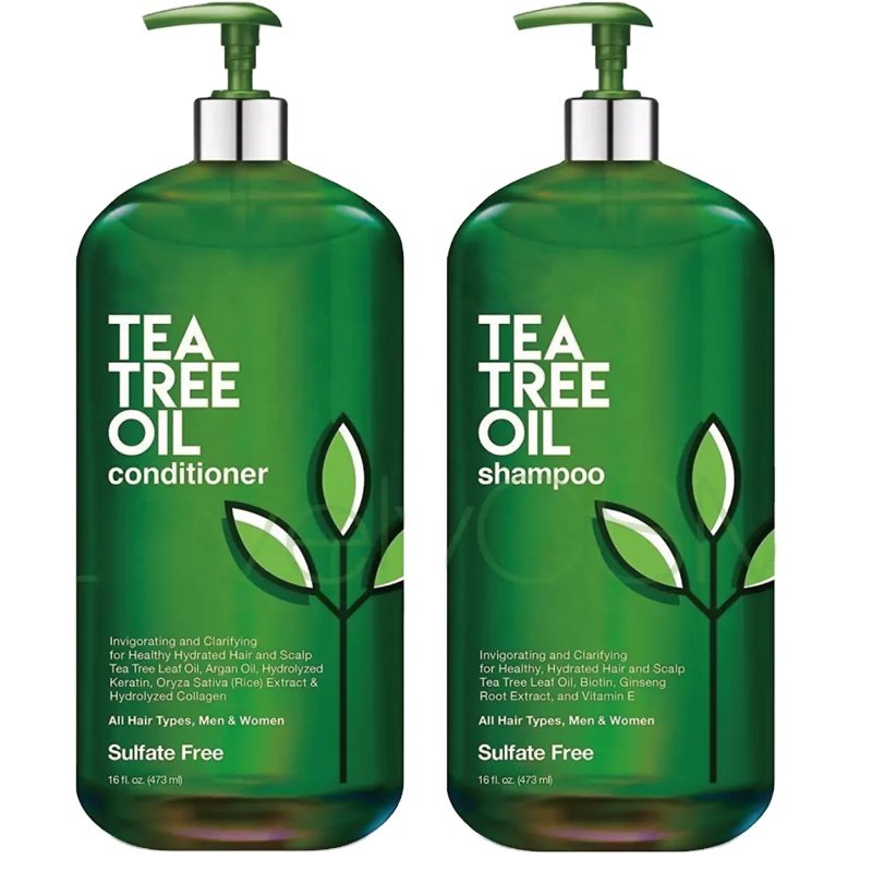 Custom Private Label Hair Grow Organic Ginger Mint Tea Tree Oil Shampoo Natural Hair Care Anti-Dandruff Shampoo