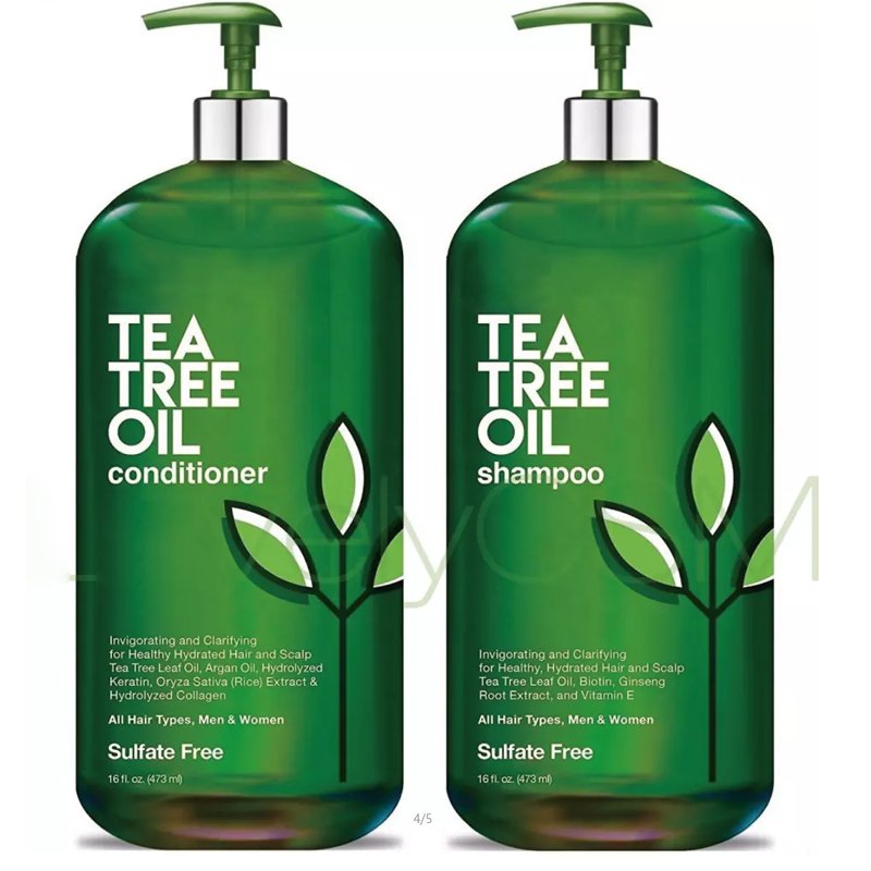 Custom Private Label Hair Grow Organic Ginger Mint Tea Tree Oil Shampoo Natural Hair Care Anti-Dandruff Shampoo