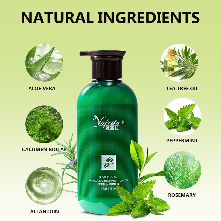 Best Price Organic Rosemary Mint Strengthening Plant Based Shampoo and Conditioner Color Safe Smooth Hair Care Products