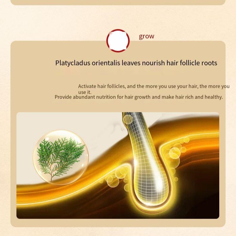 TWG Hair Regrowth Serum Hair Strengthening Alopecia Treatment For Men And Women Polygonum Herb Hair Growth Serum