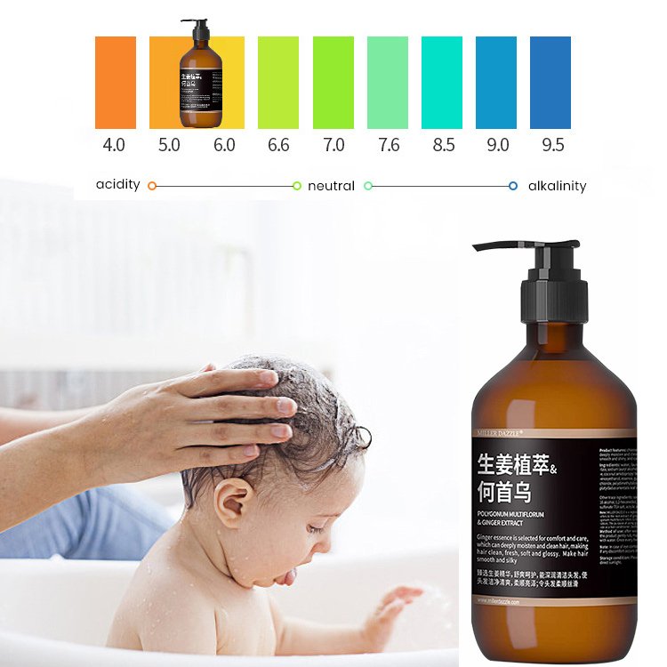 OEM High Quality Hair loss treatment Hair Regrowth Ginger Extract Shampoo For Hair Growth