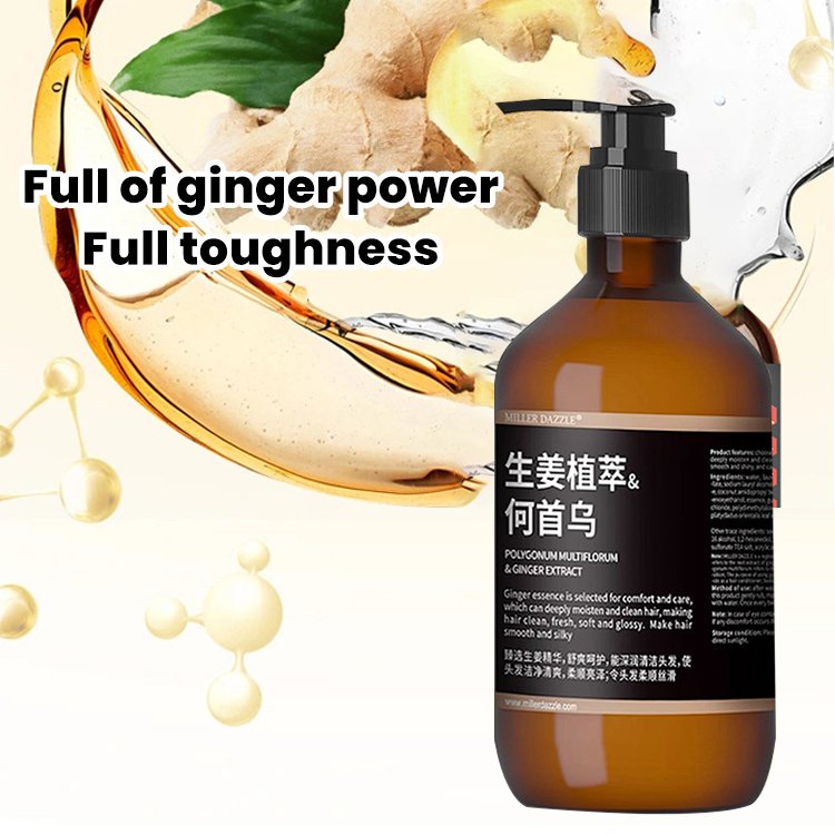 OEM High Quality Hair loss treatment Hair Regrowth Ginger Extract Shampoo For Hair Growth