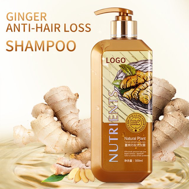 Wholesale 500ml Ginger Hair Shampoo Hair Repairing Moisturizing Conditioner Custom Logo Oil Control Organic Turmeric Shampoo