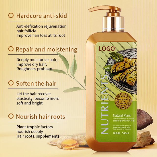 Wholesale 500ml Ginger Hair Shampoo Hair Repairing Moisturizing Conditioner Custom Logo Oil Control Organic Turmeric Shampoo