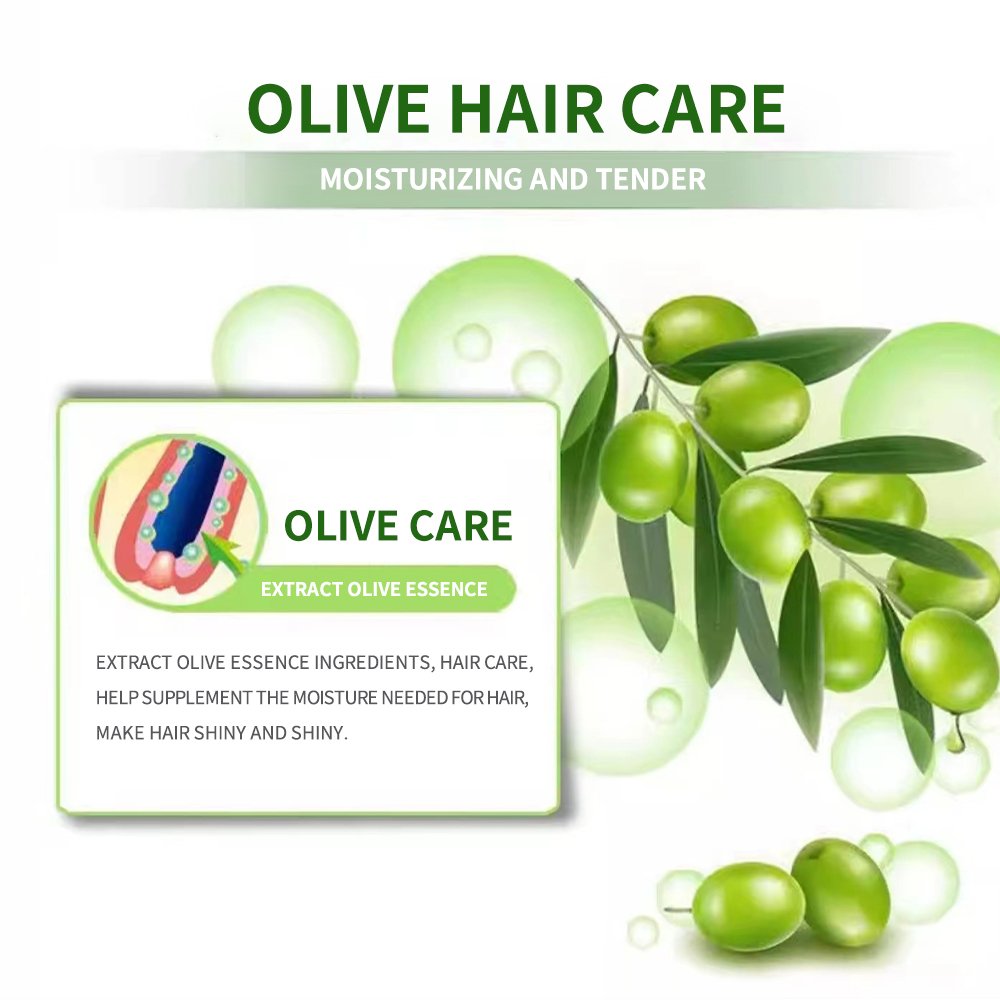 OEM organic olive oil shampoo and conditioner olive oil hair care for fresh deepcleaning oil control hair care conditioner 500ml