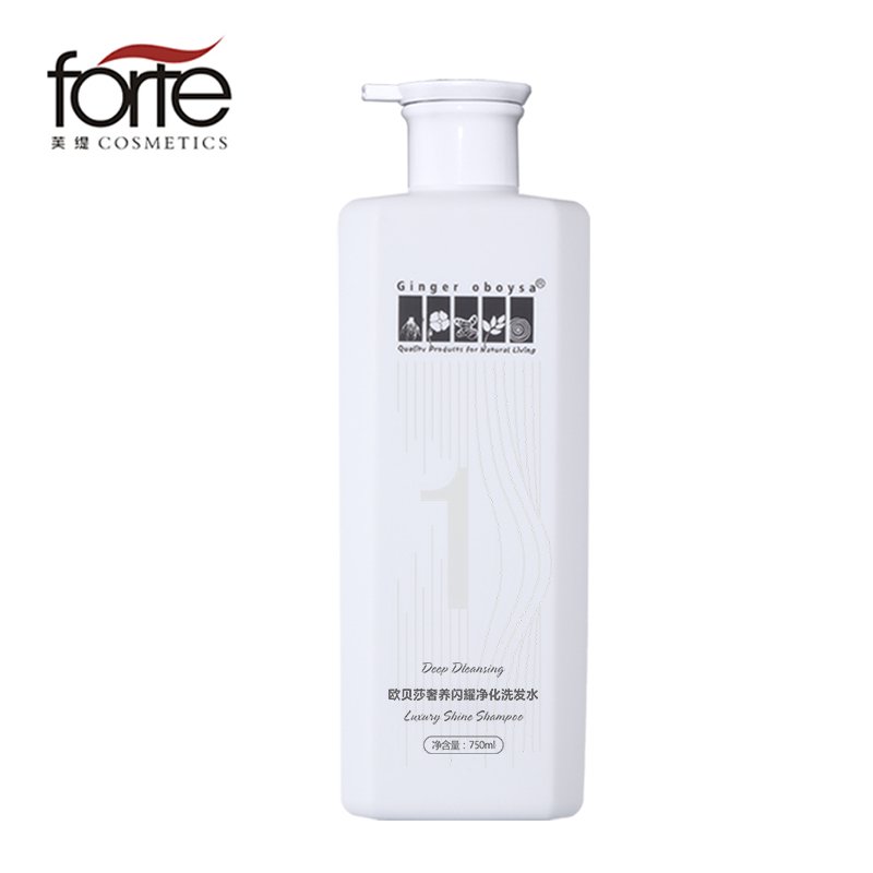 OEM Professional Hair Scalp Care Treatment Products Shampoo For Oily hair