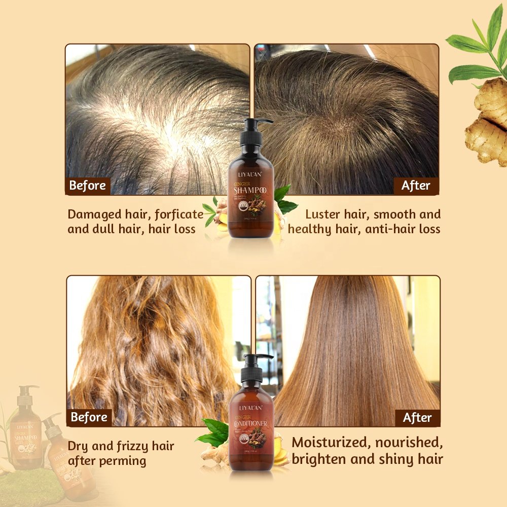 Custom Nourish Repair Damaged Hair Loss Growth Herbal Ginger Shampoo And Conditioner