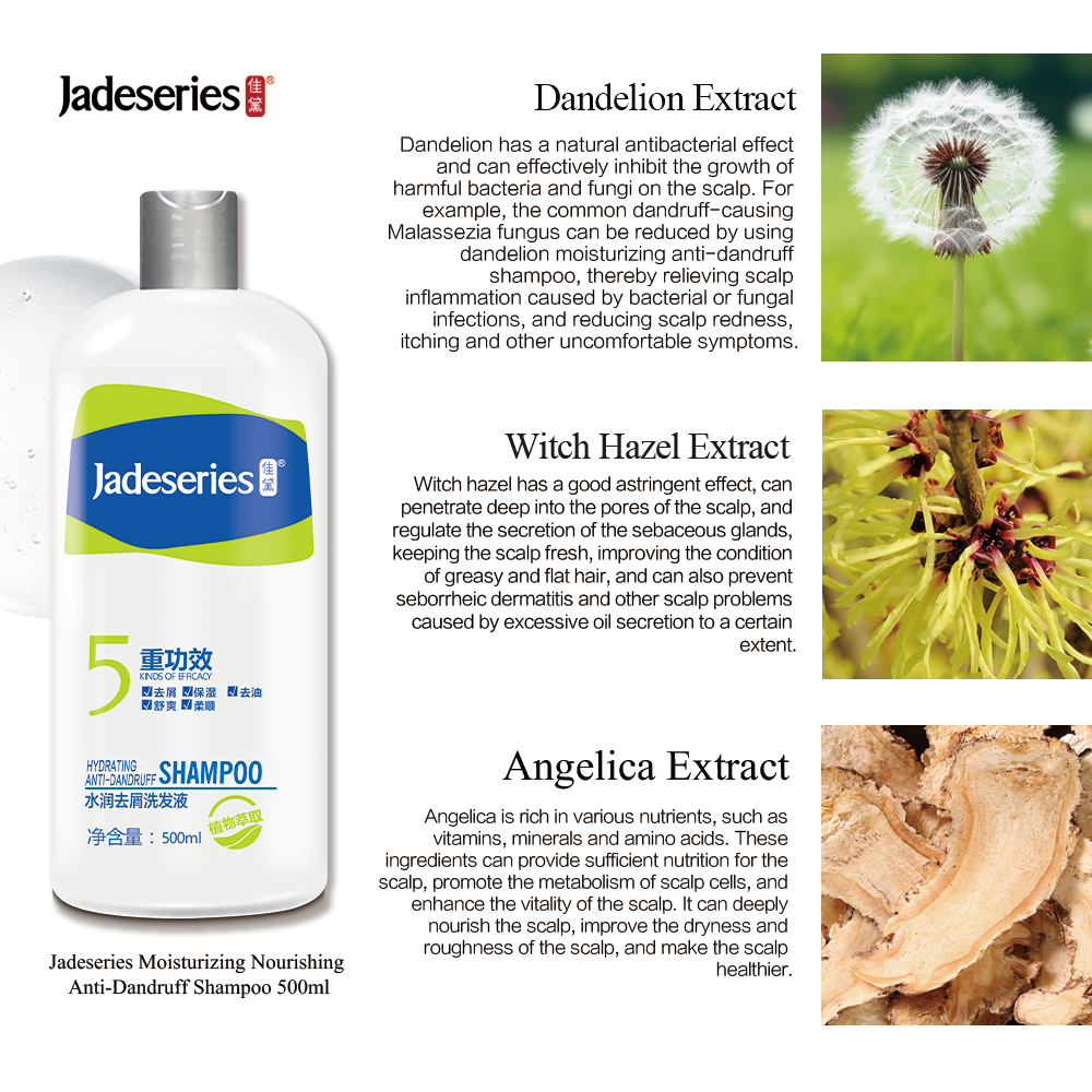 Hot sale of own brand shampoo, the best natural organic shampoo brand moisturizing anti-dandruff shampoo