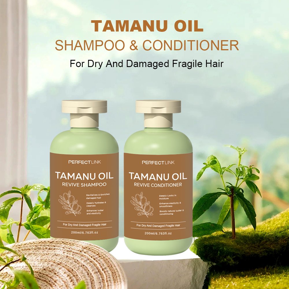 Custom Wholesale Private Label Natural Organic Agran Oil Sulfate Free Nourishing Hair Repair Tamanu Oil Shampoo And Conditioner