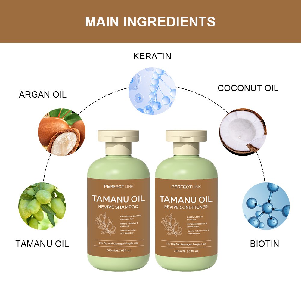 Custom Wholesale Private Label Natural Organic Agran Oil Sulfate Free Nourishing Hair Repair Tamanu Oil Shampoo And Conditioner