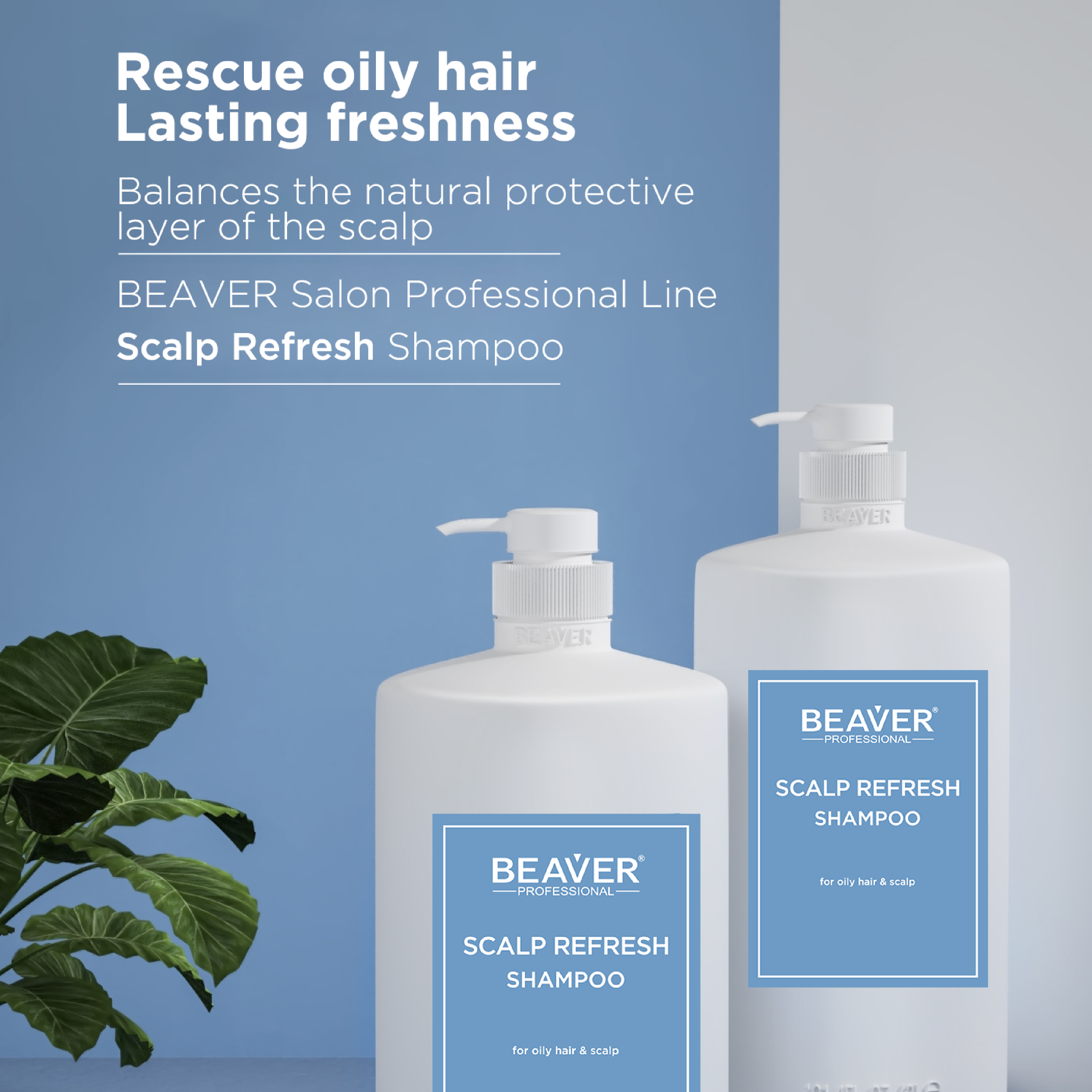 Beaver 3L Hair Salon Professional Shampoo Scalp Treatment for Hair Salon Keratin Anti Dandruff Shampoo and Conditioner Set