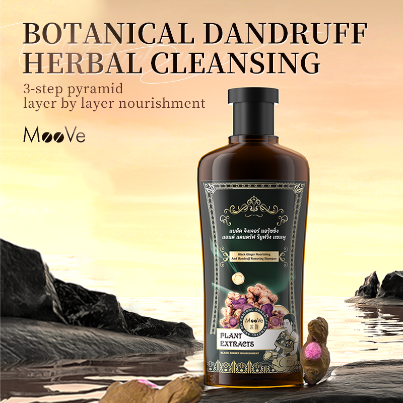 Anti-Dandruff Treatment 100% Flake-Free Protection Oil Control Paraben-Free Black Ginger Shampoo for All Hair Types