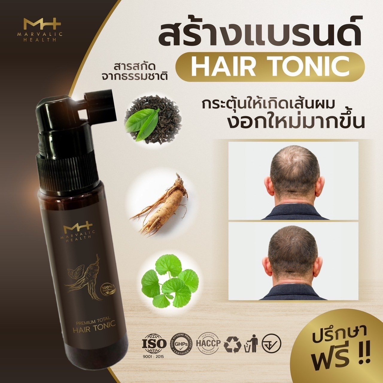 Private Label OEM ODM Biotin Hair Growth Tonic Hair Serum Treatment Reducing Hair Loss Organic Therapy Natural