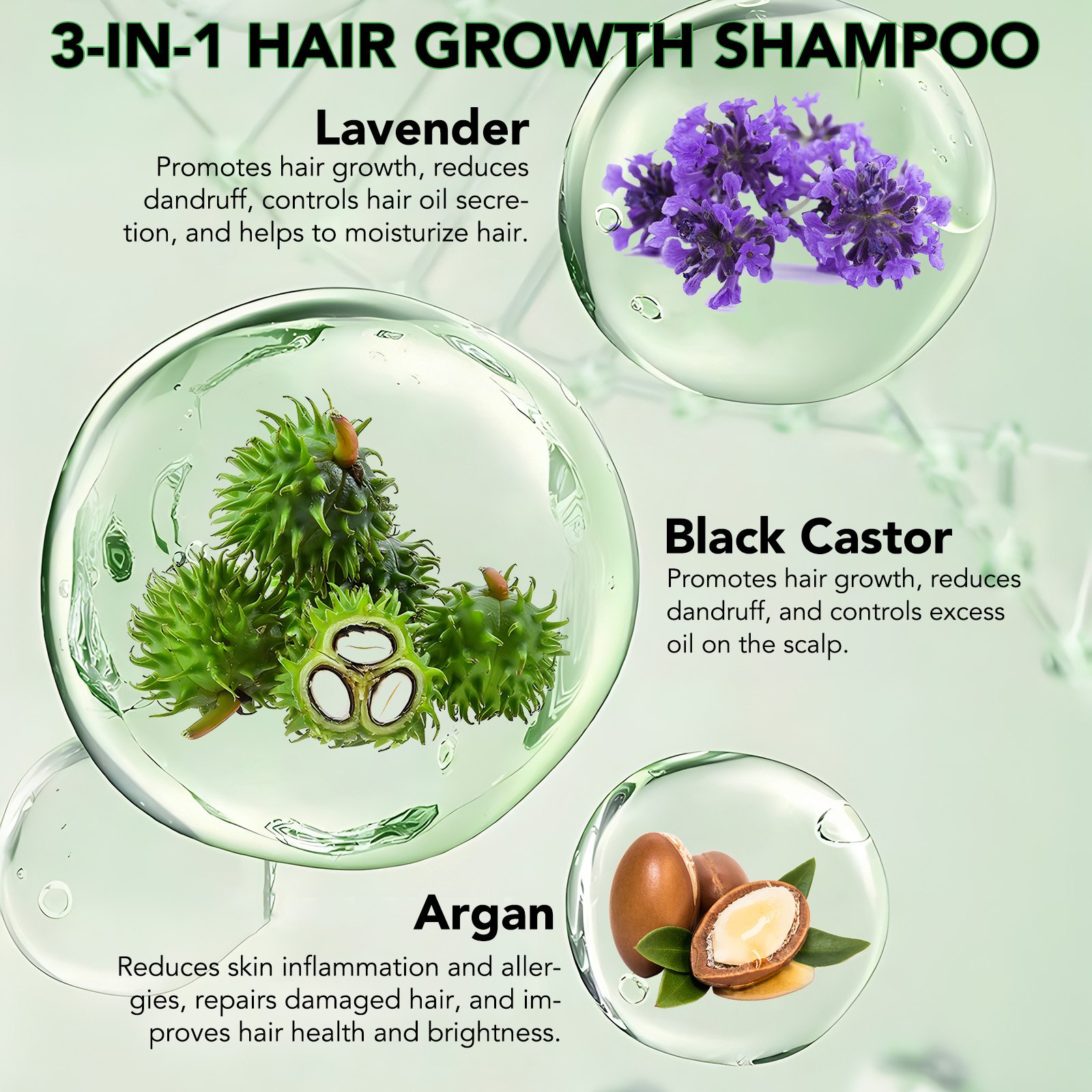 ALIVER private label activates hair follicles 300ml biotin jamaican black castor lavender argan oil shampoo for hair growth