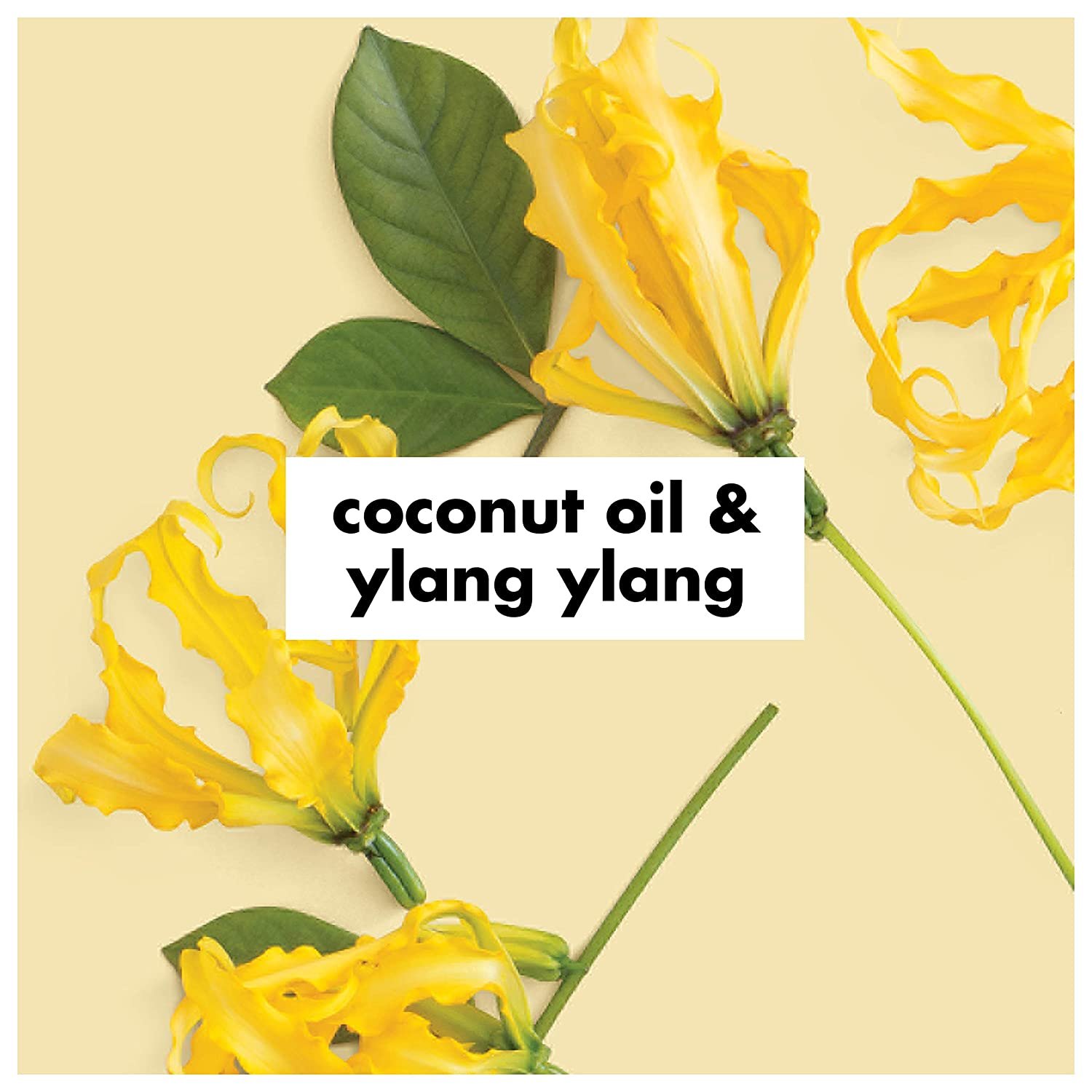 Private Label OEM vegan natural organic coconut oil Nourishing Smoothing Hair treatment Shampoo and Conditioner