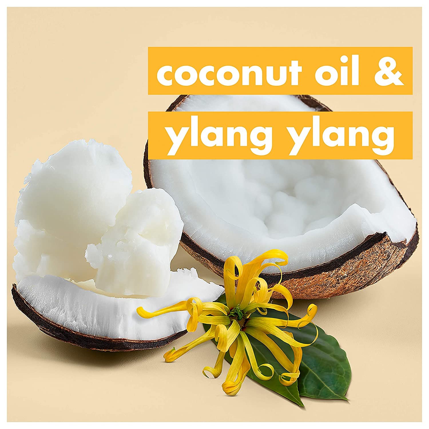 Private Label OEM vegan natural organic coconut oil Nourishing Smoothing Hair treatment Shampoo and Conditioner