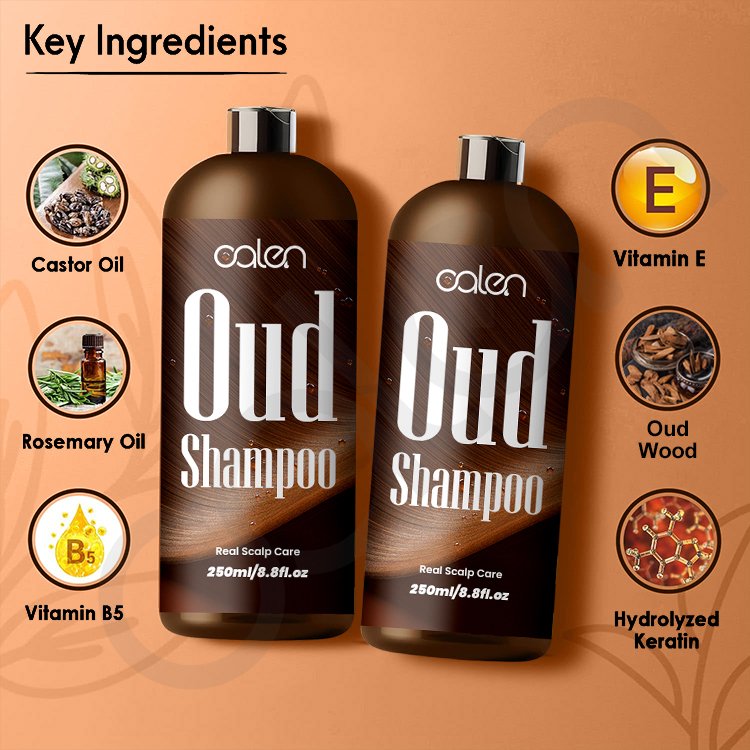 Oalen Custom Logo 250Ml Prevents Dandruff Nourishes Repairs Damaged Hair Oud Shampoo