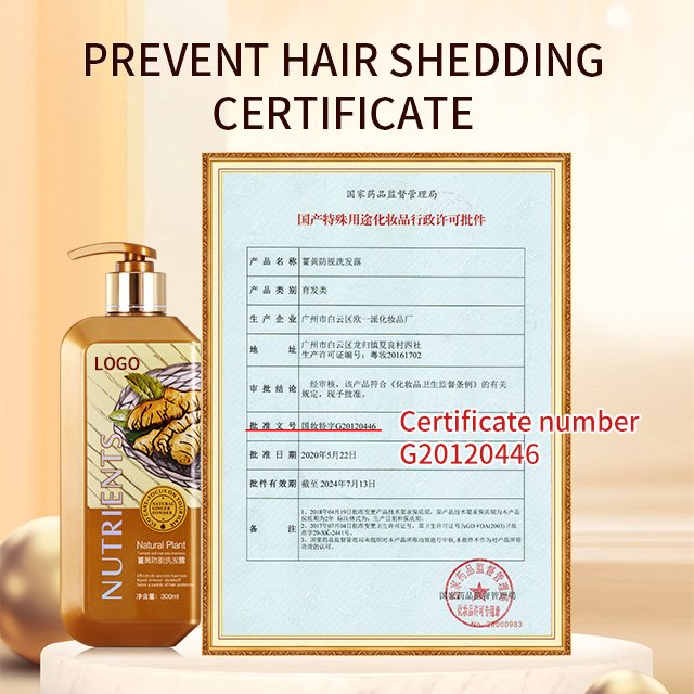 Private Label 300ML Ginger Anti Hair Loss Growth Repairing Moisturizing Conditioner Anti-dandruff Turmeric Shampoo Products