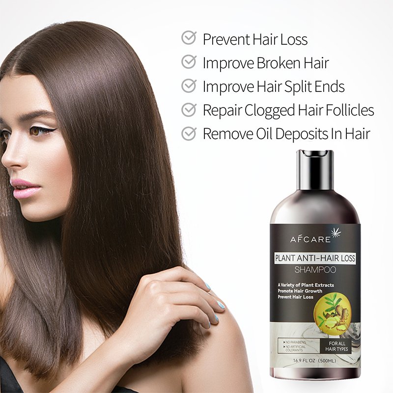 High Quality Hair Shampoo Sulfate-free Oil-Control & Moisturizing and Keratin & Amino acid Ginger Anti Hair Loss Shampoo