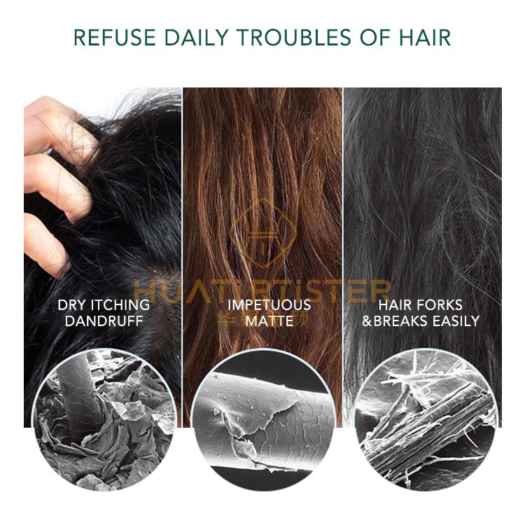 Huati Sifuli OEM RTISTER 850ml herbal plant rosemary shampoo and conditioner original Nourishes hair scalp revitalizes follicles