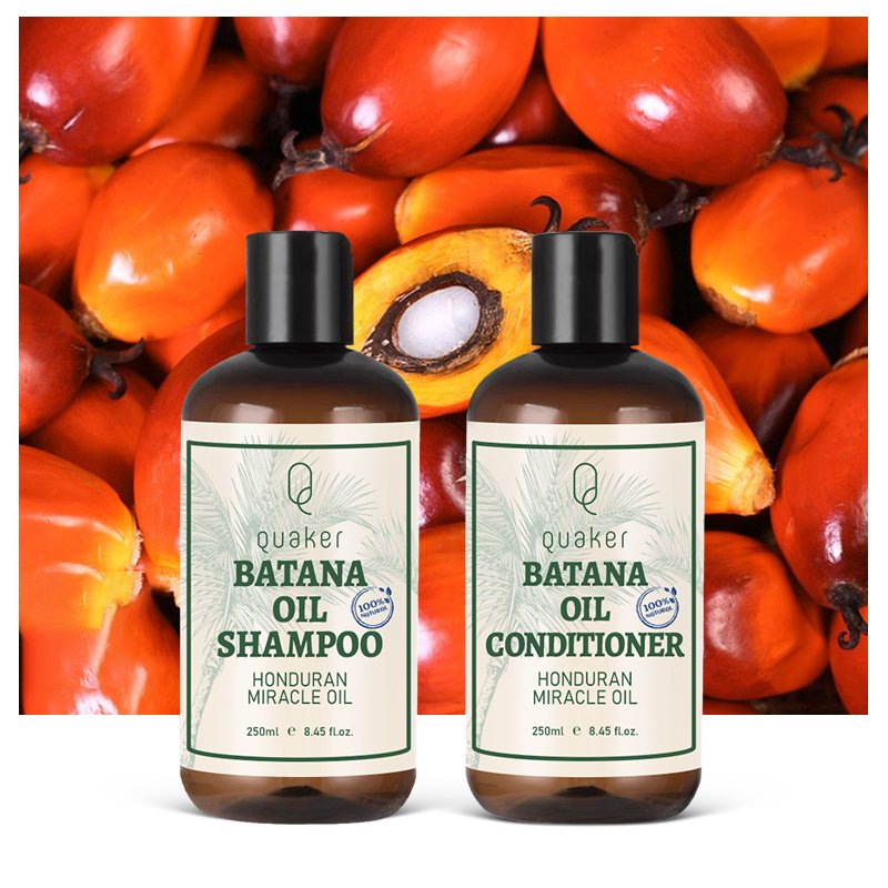 Qquaker Private Label Wholesale Organic Batana Oil Promotes Hair Growth Repair Damaged Hair Shampoo And Conditioner Set