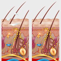 Private Label Organic Biotin Strengthen Thickening Shampoo With Castor Oil