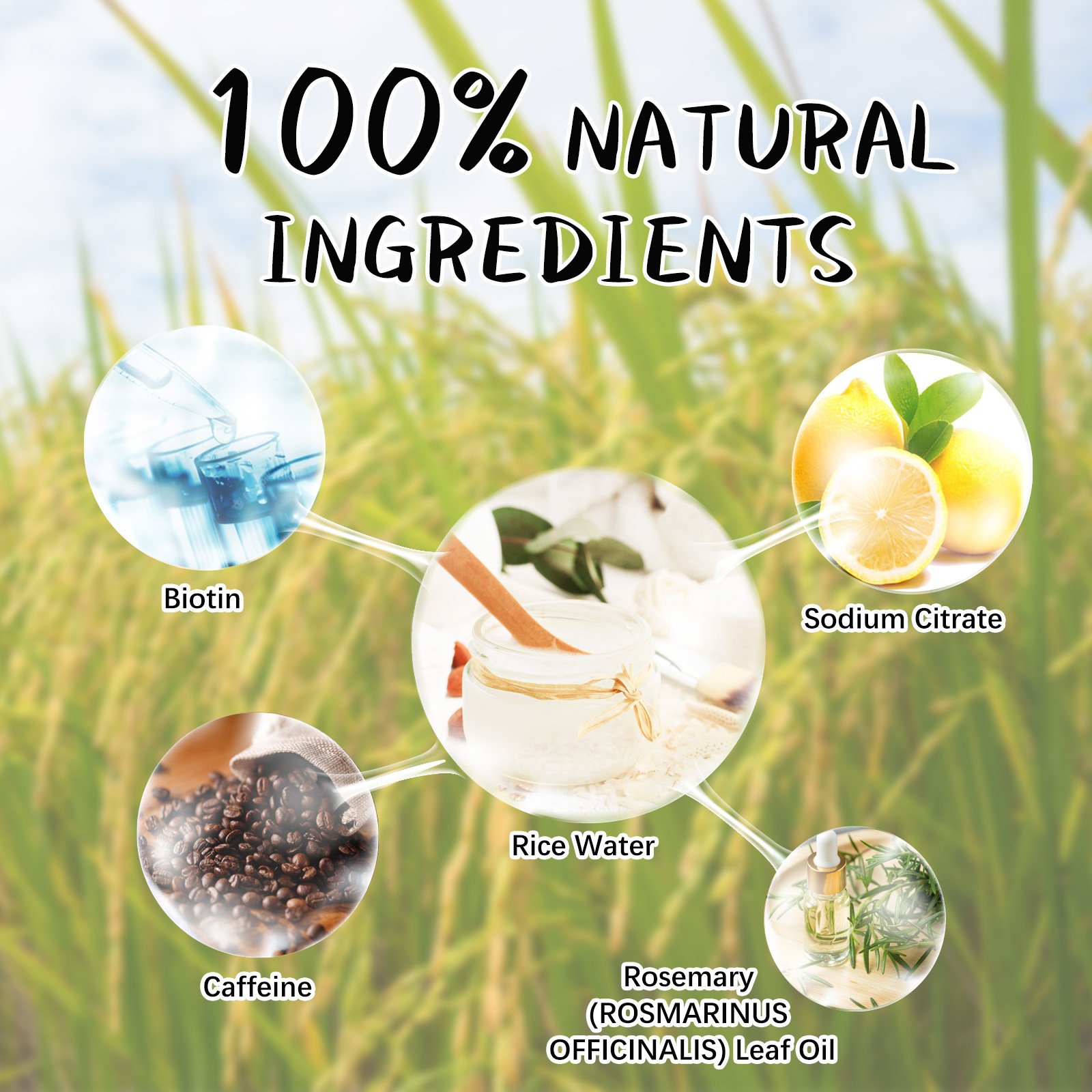 Private Label Eco Friendly Hydrolyzed Wash Rice Protein Hair Water Shampoo
