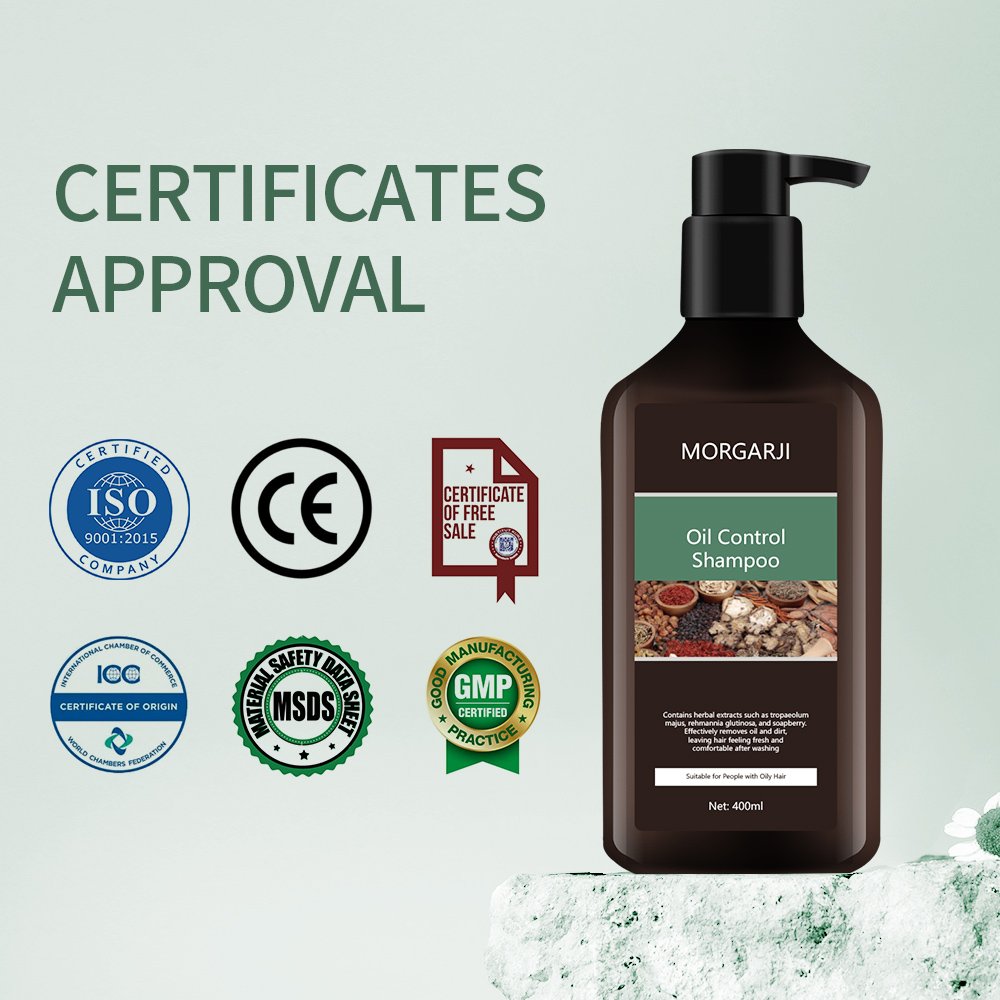 Your own brand ORGANIC shampoo oem odm biotin salon shampoo and conditioner hair care set for oily hair