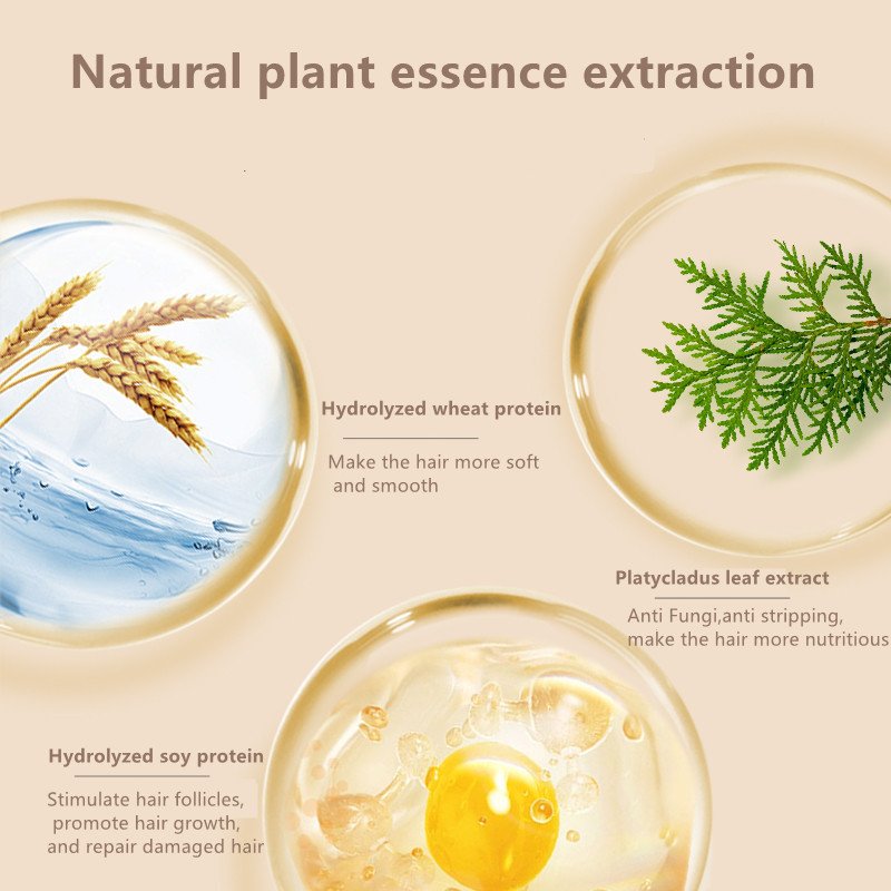 OEM private label Anti Hair Loss Shampoo Smooth Oil Control Natural Pleurophyllum extra Hair Strengthen Anti Stripping Shampoo