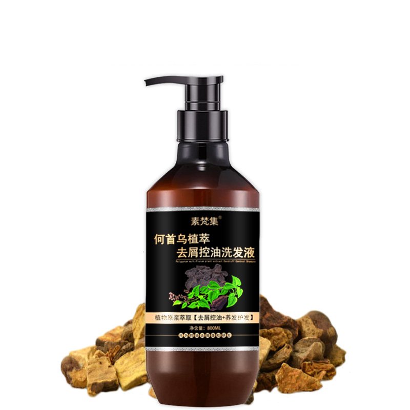 New Product Polygonum Multiflorum Chinese Hair Surge Anti-Dandruff Hair Growth Shampoo