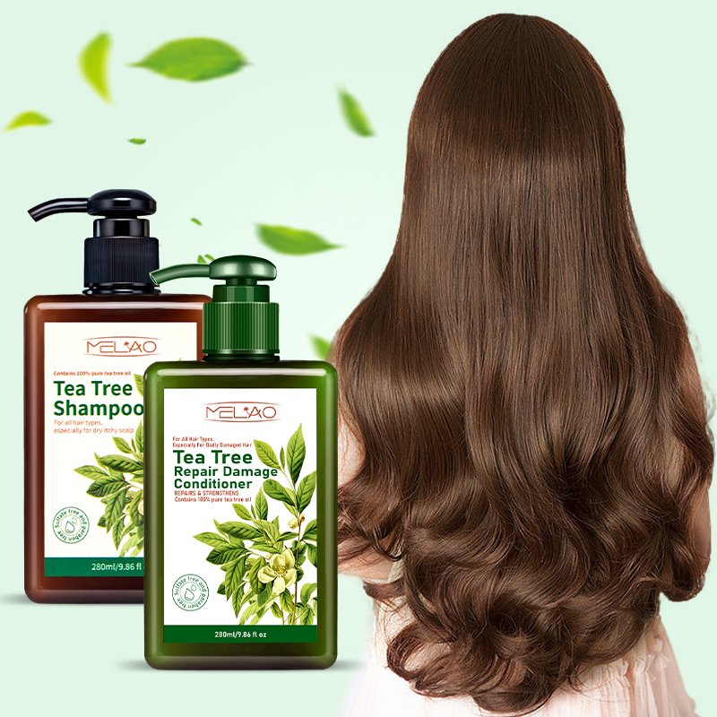 MELAO Private label Hair Treatment Wholesale Professional Hair Care Set Organic Argan Oil Shampoo and Conditioner Set