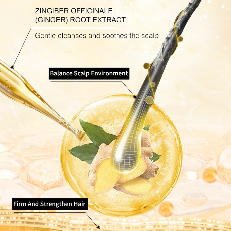 Factory Direct Sale Natural Organic Ginger Thicker Biotin Anti Loss Fast Hair Growth Shampoo