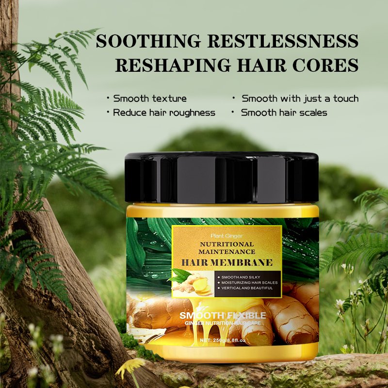 oem odm ginger dense hair anti hair loss anti hair loss organic natural herbal ginger growth shampoo and conditioner set