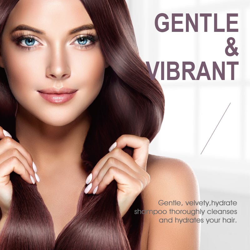 China Factory Private Label Natural Hair Wash Treatment Argan Oil Hair Shampoo and Conditioner