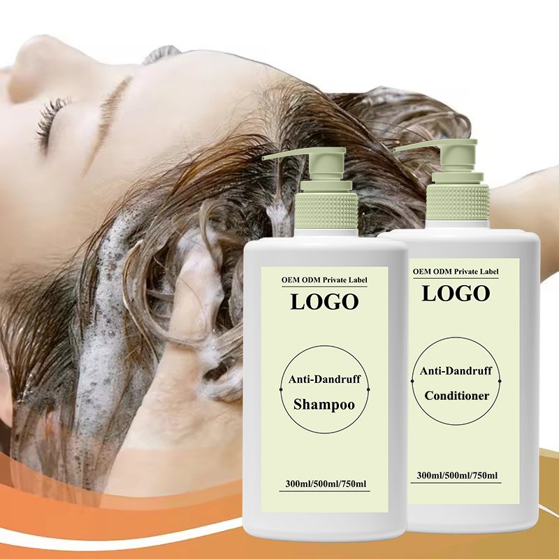 Wholesale Price Hair Care Products Anti-Dandruff Oil-Control Argan Oil Sulphate Free Shampoo And Conditioner