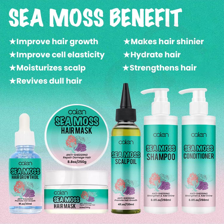 Luxfume Private Label Anti-Shedding Strengthen Hair Sea Moss Hair Shampoo and Conditioner Set