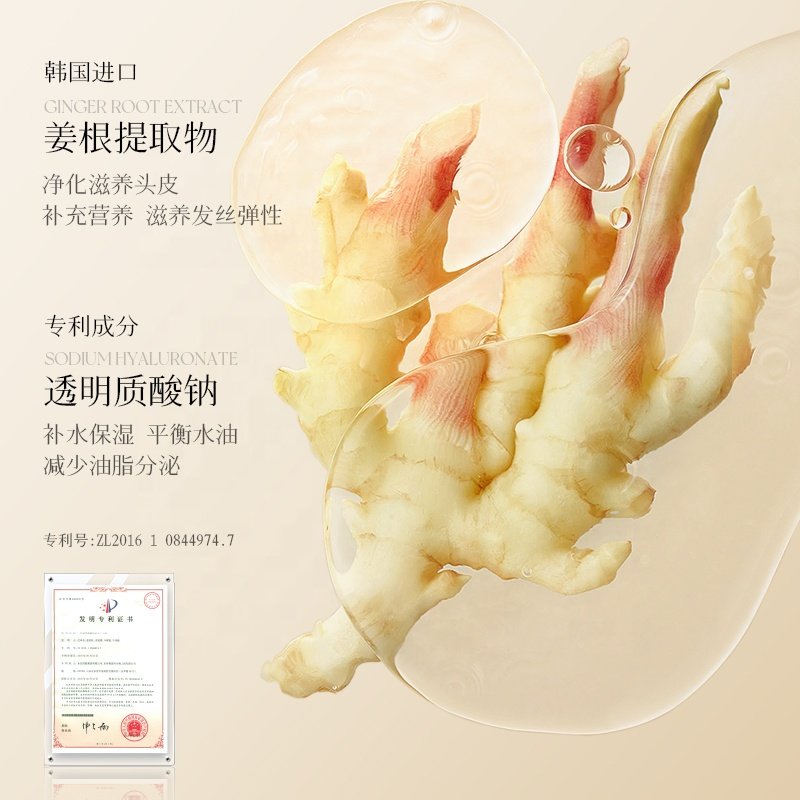 ZHIDUO Ginger Smoothing and Balancing Shampoo 500ml ginger shampoo