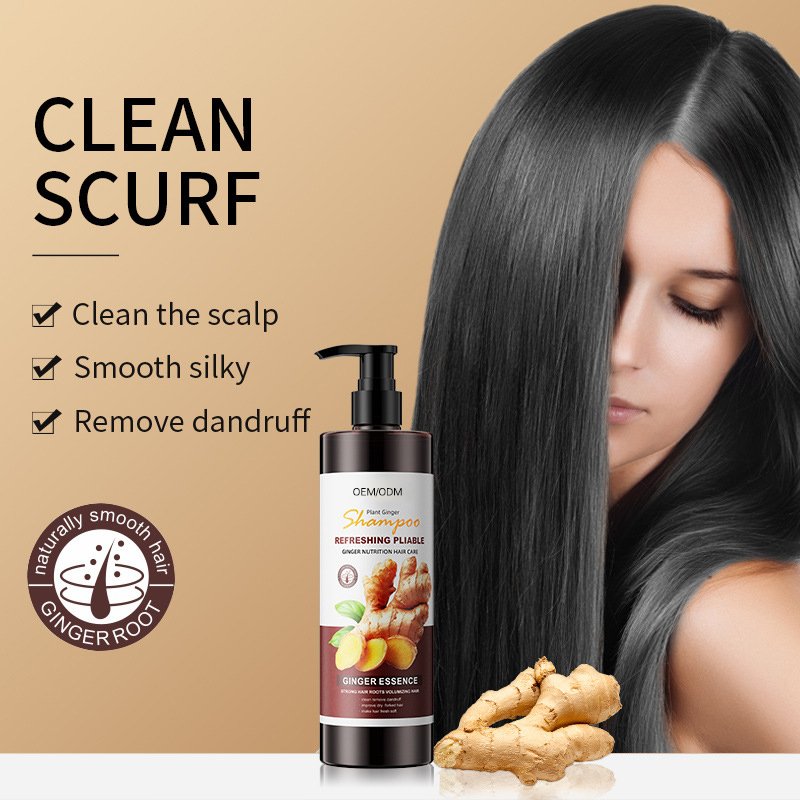 Private Label Gentle Makeup Remover Oil Control Hair Growth Pure Ginger Shampoo for Men and Women Hair Loss Treatment