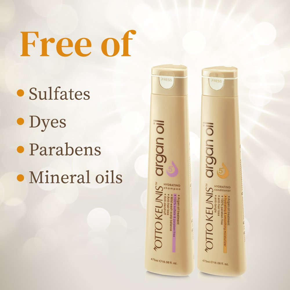 Professional Hair Salon Tea Tree Oil Argan Oil Wholesale Extreme Sulphate-free Shampoo and Conditioner