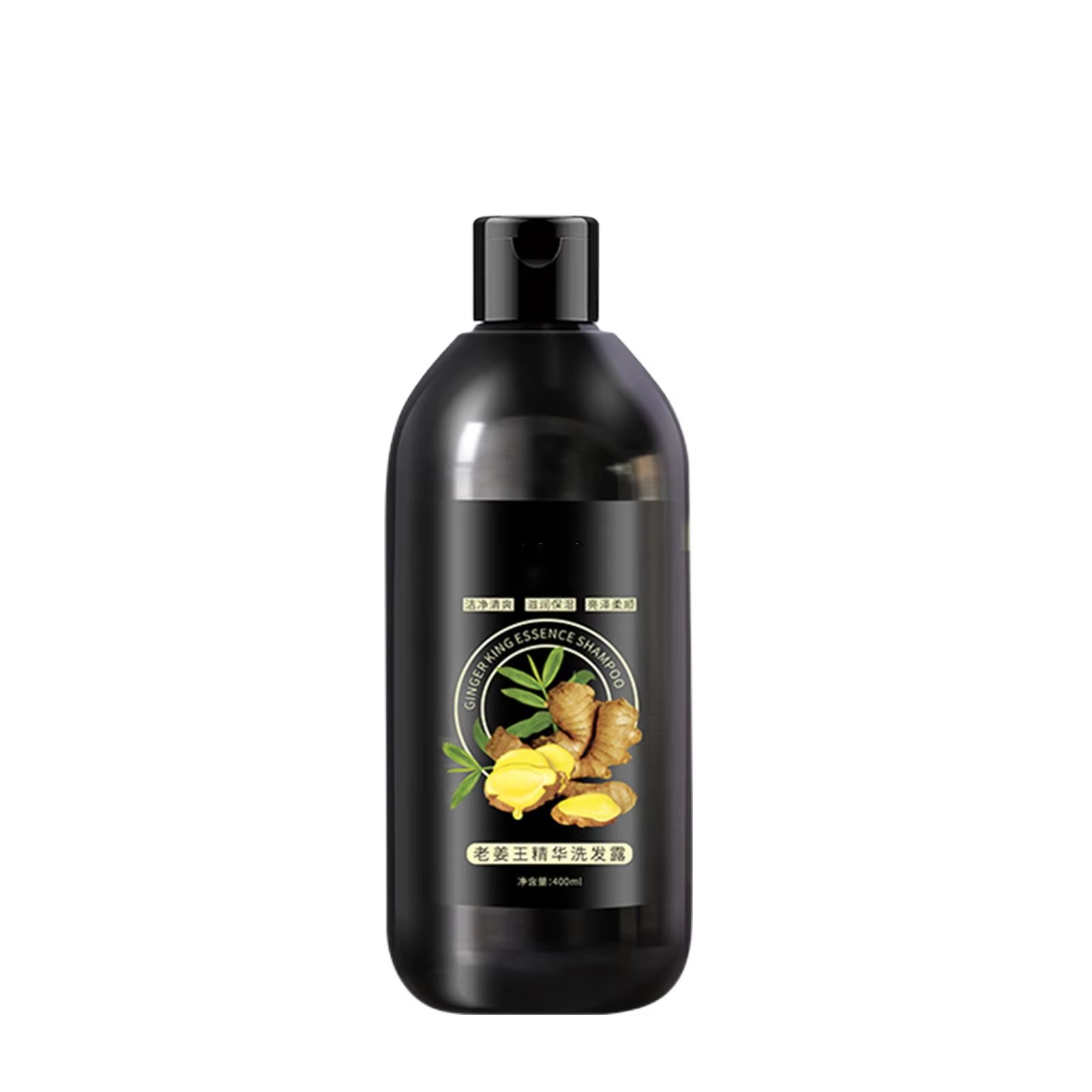 Shampoo Anti-Itching Anti-Dandruff Hair Shampoo Hair Conditioner Hair Care Dandruff Removal Shampoo