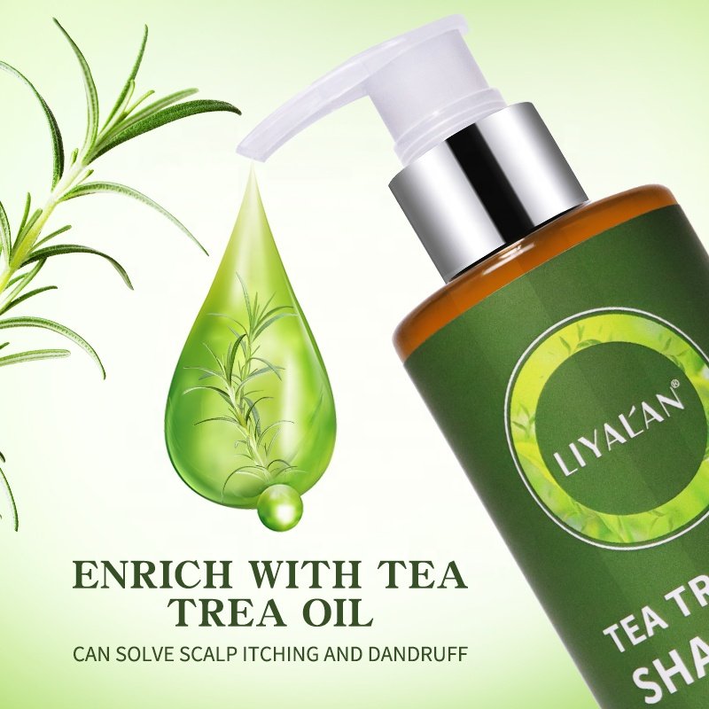 Private Label Hair Care Anti Itchy Anti Inflammation Aloe Vera Extract Organic Tea Tree Oil Shampoo