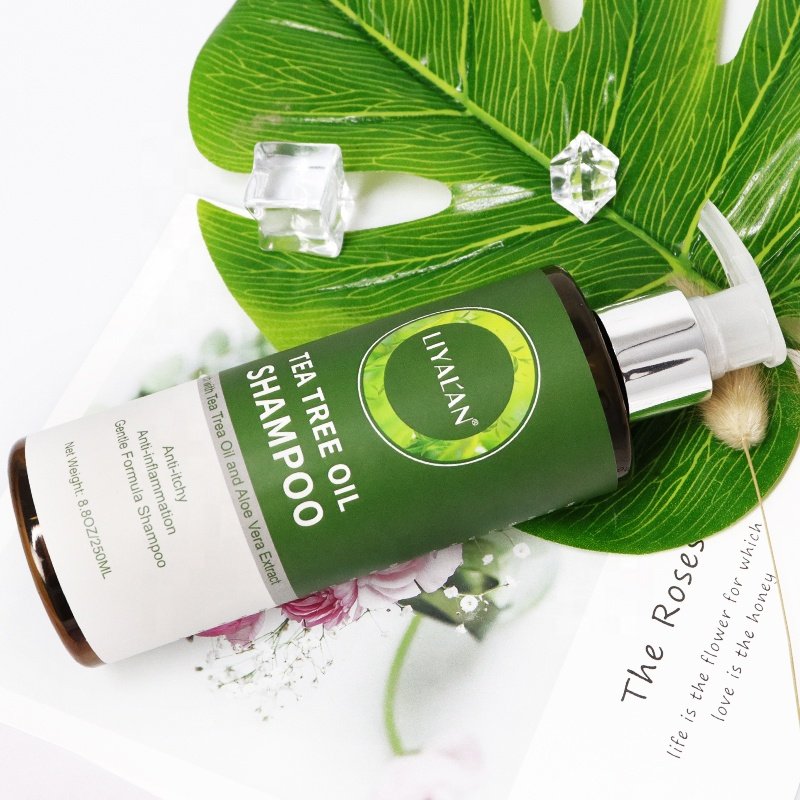 Private Label Hair Care Anti Itchy Anti Inflammation Aloe Vera Extract Organic Tea Tree Oil Shampoo