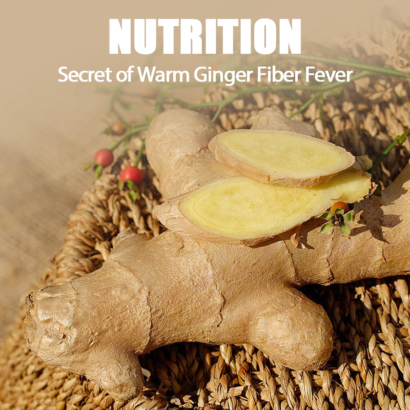 Ginger anti-hair loss shampoo, anti-itch, fluffy anti-dandruff, anti-hair loss and oil control shampoo