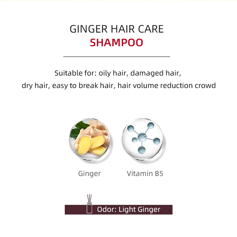 Best Seller Plant Extract Professional Anti Hair Loss Softy Ginger head And shoulder Shampoo And Conditioner