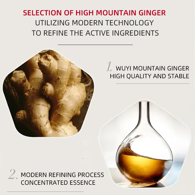 Best Seller Plant Extract Professional Anti Hair Loss Softy Ginger head And shoulder Shampoo And Conditioner