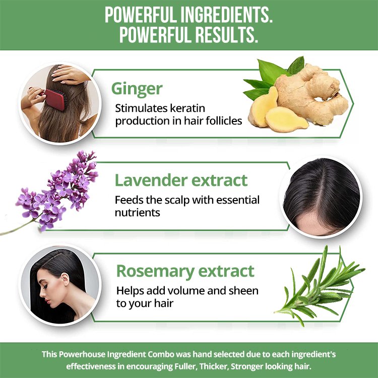 Private Label Hair Growth Ginseng Shampoo And Conditioner Regrowth Shampoos For Hair Loss