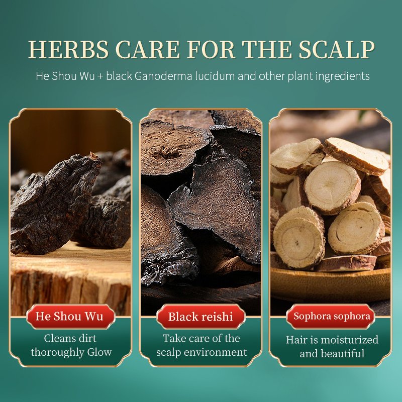 Oil control and dandruff removal Herbal shampoo Plant composition Nourishing hair Polygonum multiflorum shampoo